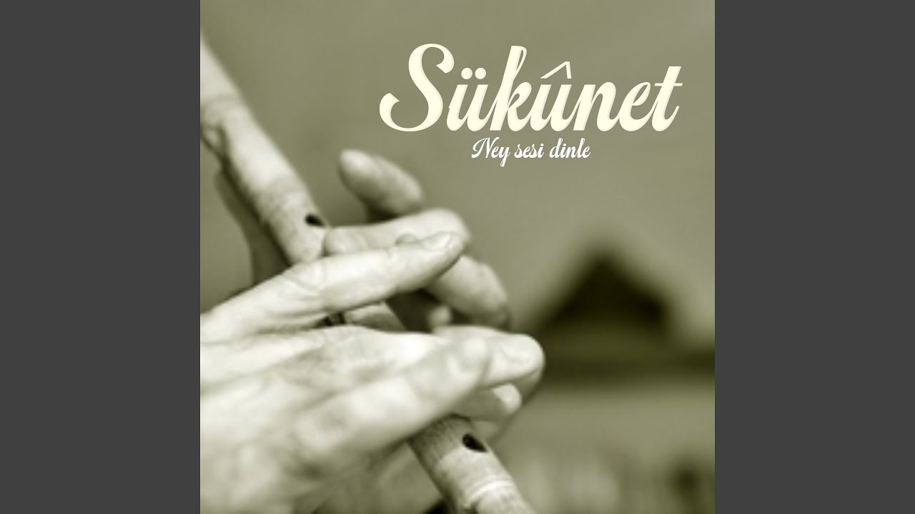 S&uuml;k&ucirc;net