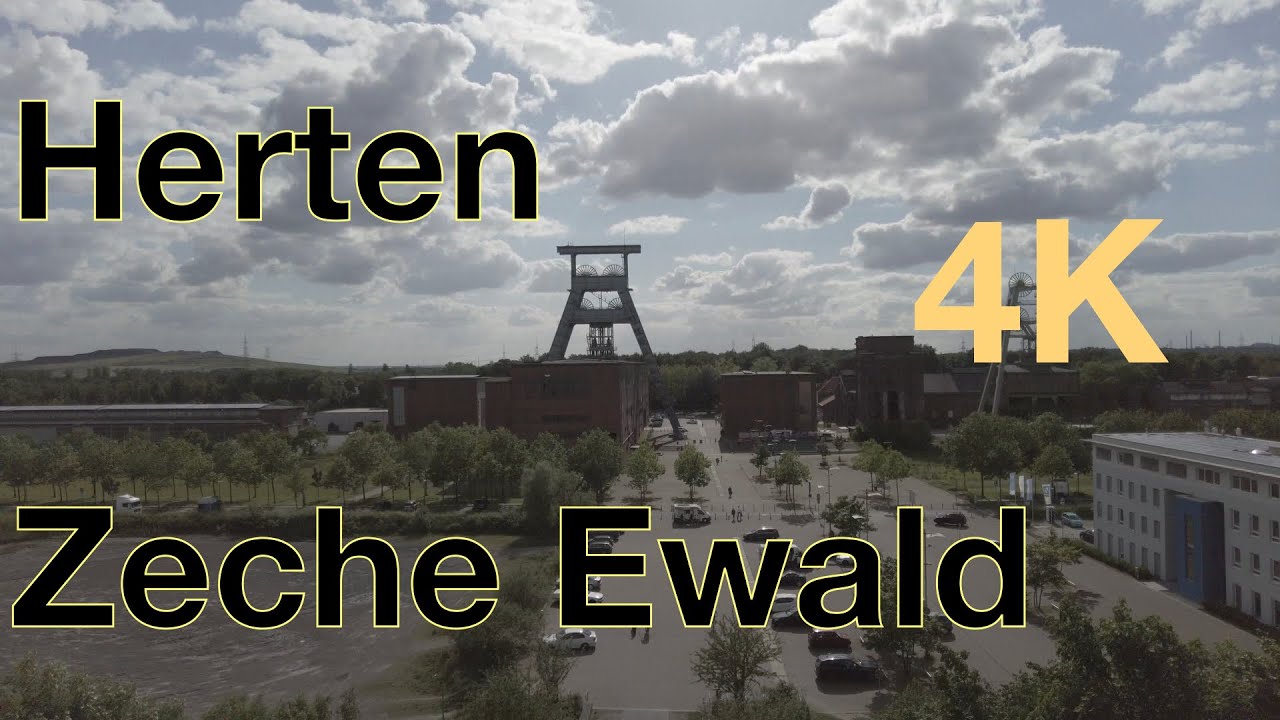 Sunny Afternoon Walk | Ewald Herten, Germany