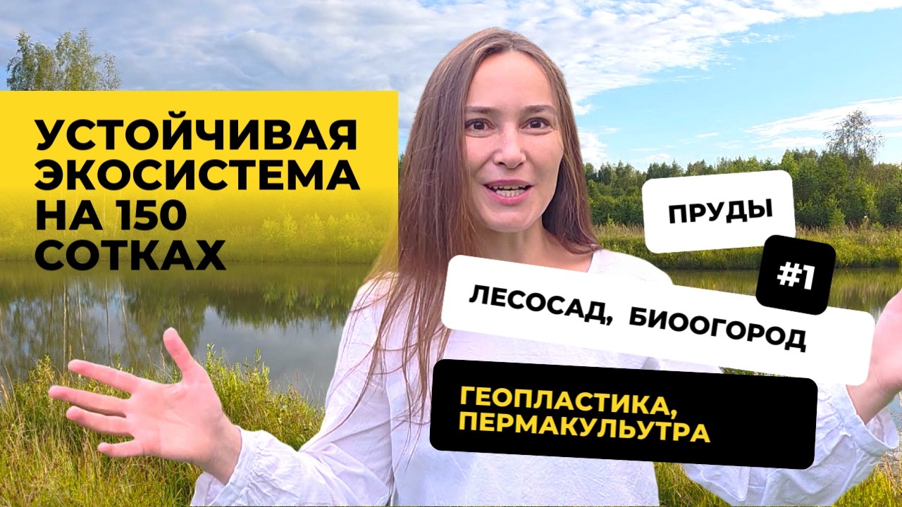Превратила болото в Райский сад. Секрет устойчивой экосистемы на 150 сотках.