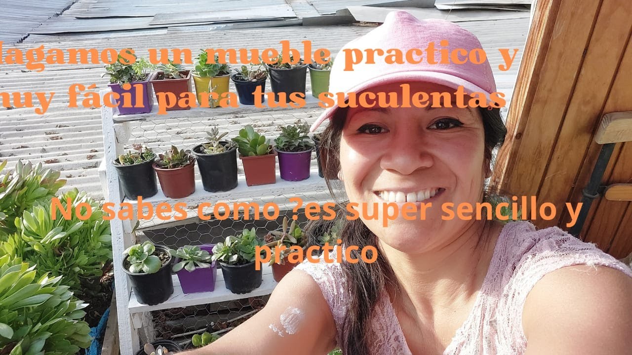 MUEBLE O PORTA SUCULENTAS /fácil practico y sobre todo mega rápido. Hazlo tu misma
