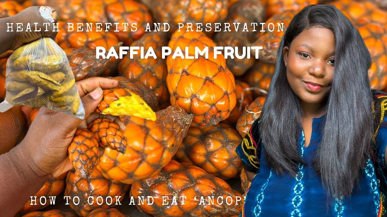 How to Cook, Eat and Preserve Raffia Palm Fruit (Ancop) +  All you need to know !