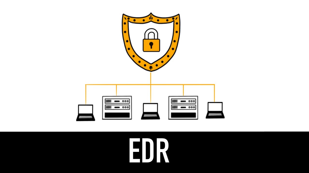 EDR : comprendre l'essentiel en 5 minutes