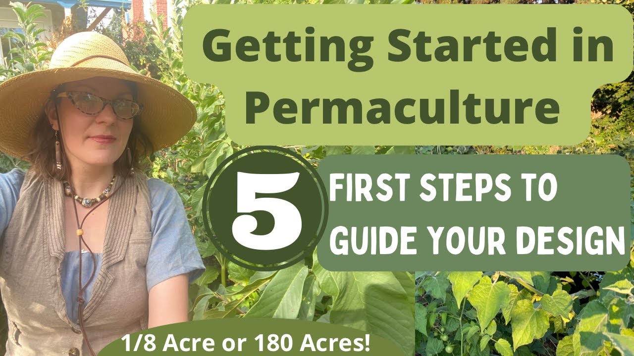 Got Some Land, Now What? 5 First Steps When Starting a Permaculture Garden or Farm