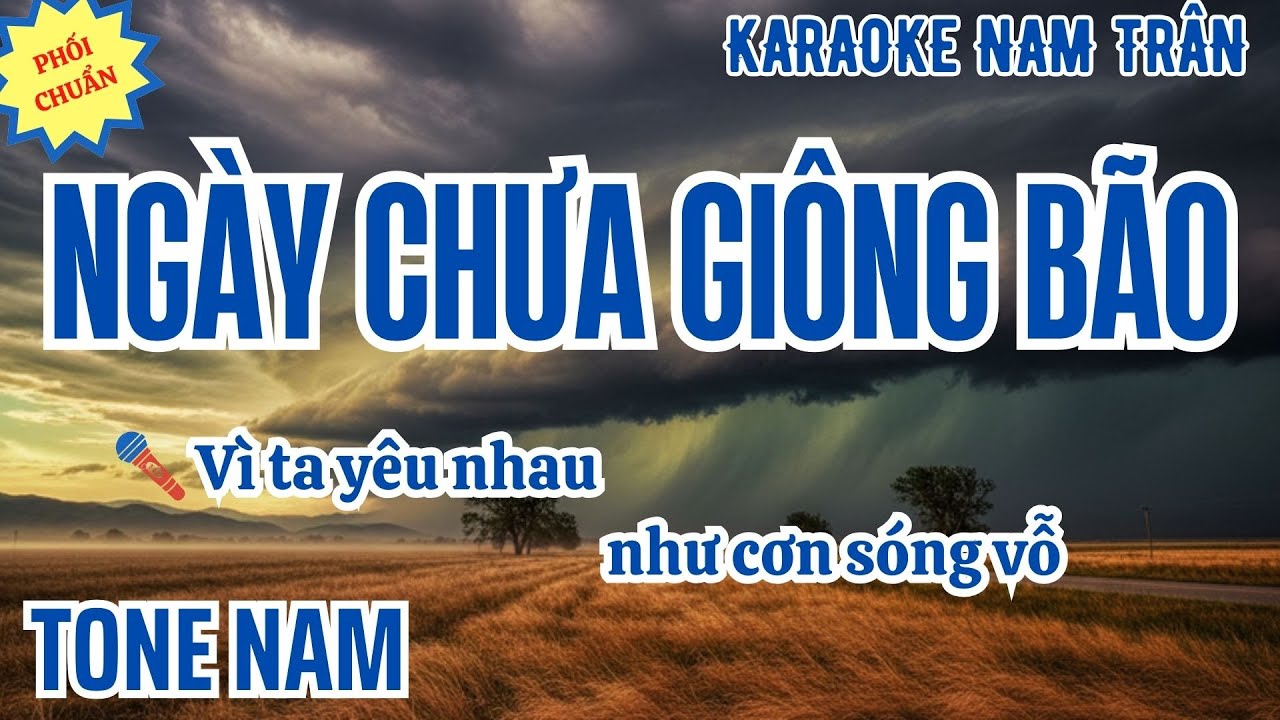 Karaoke Ngày Chưa Giông Bão Tone Nam | Nam Trân