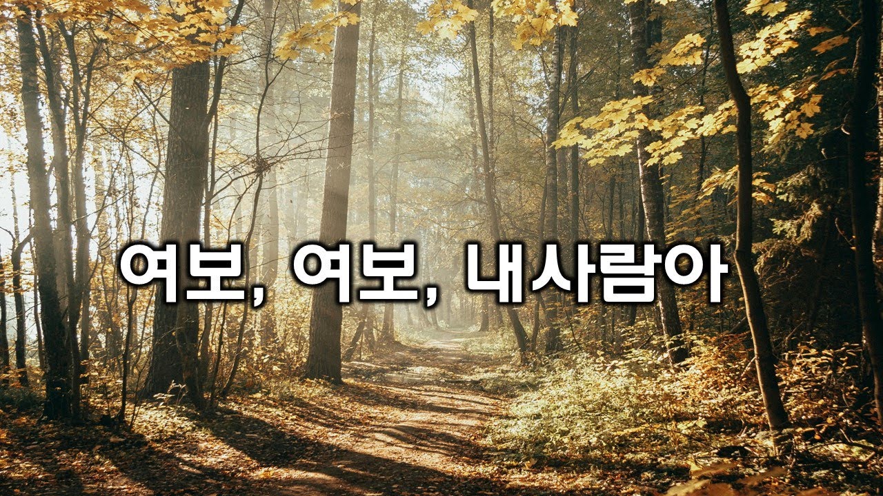 남편에게 바칩니다 🎤 여보, 여보, 내사람아