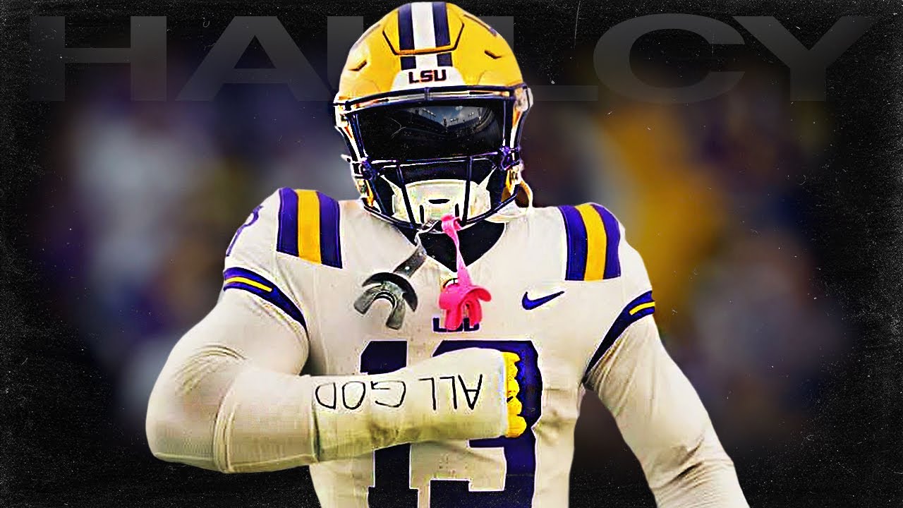 A.J. Haulcy 🔥 Top Safety in College Football ᴴᴰ