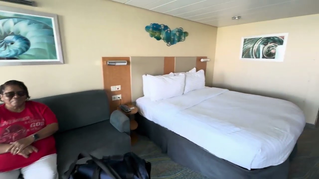Royal Caribbean Ocean View Balcony Tour You Need to See! Allure of the Seas overview Stateroom 14172