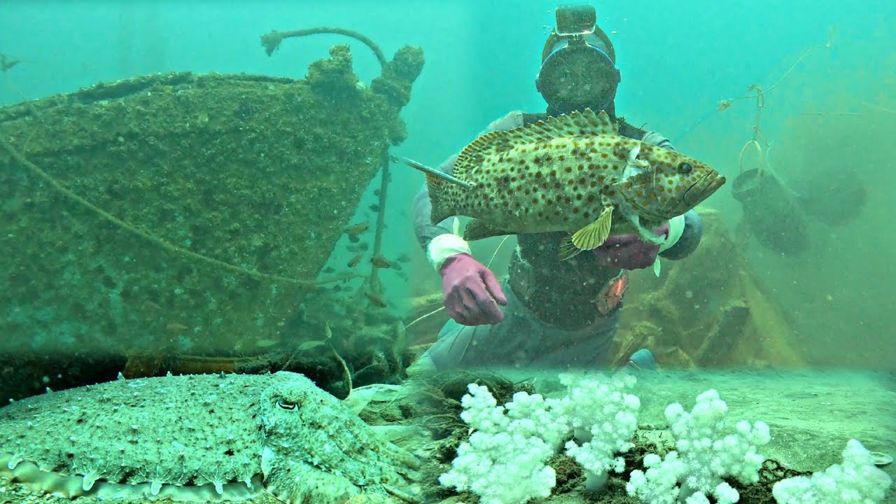 We Dive at Sunken Boats to Catch Fish and Squid to Support Our Family.