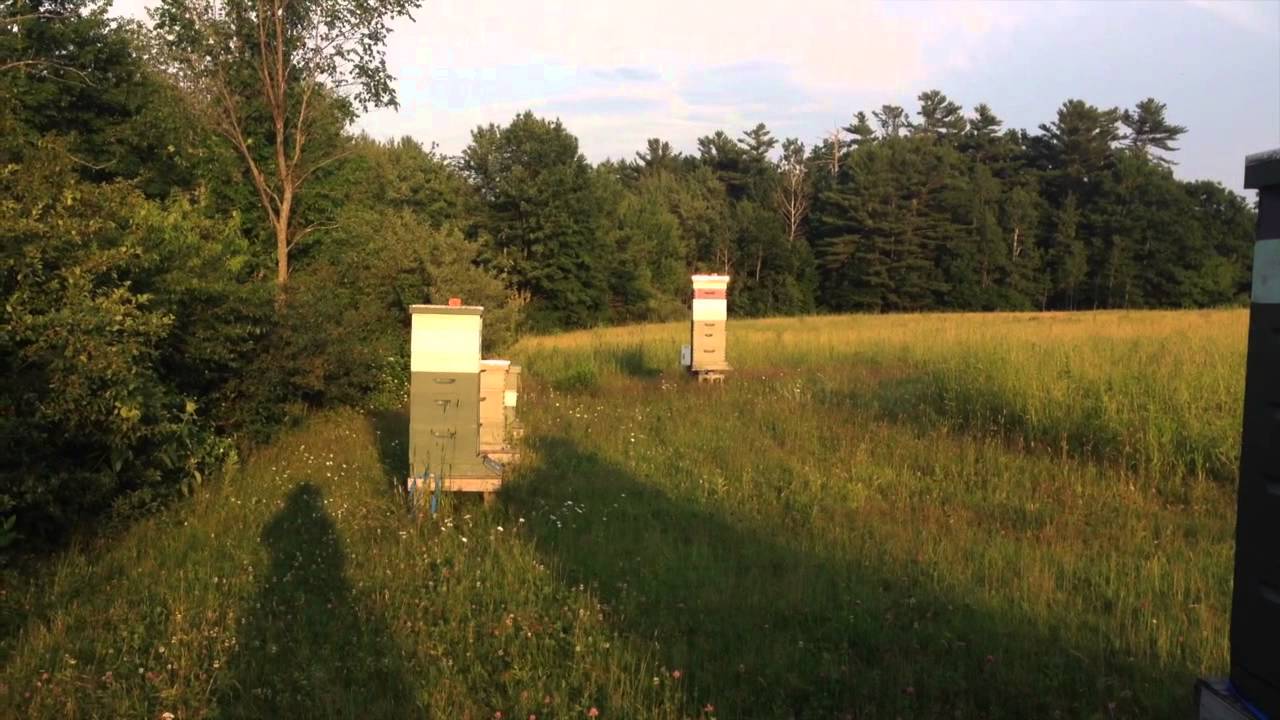 Hive update July 7 2014