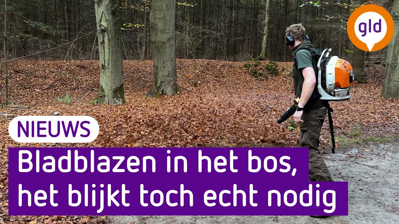 Bladblazen in het bos, gekkenwerk of toch zo gek nog niet?