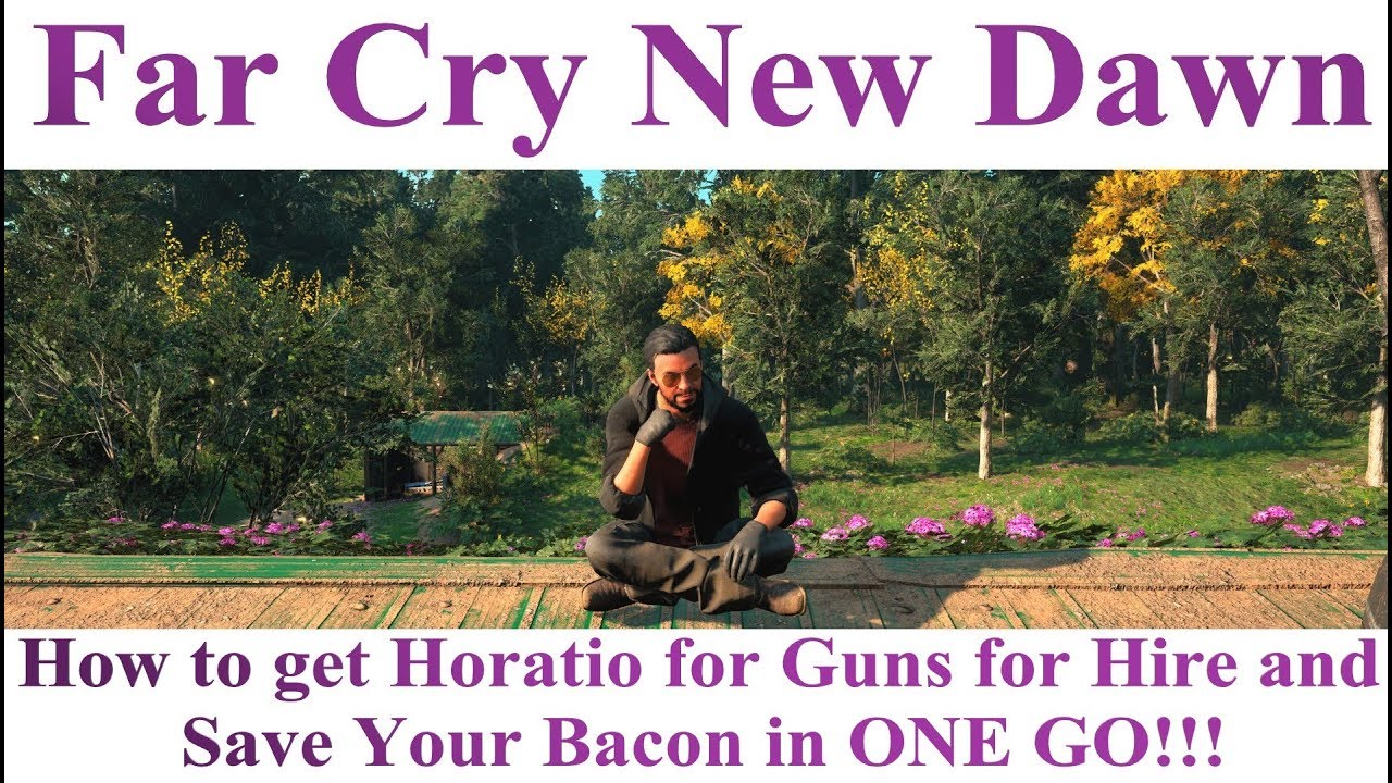 Far Cry New Dawn Guns for Hire Horatio Guide