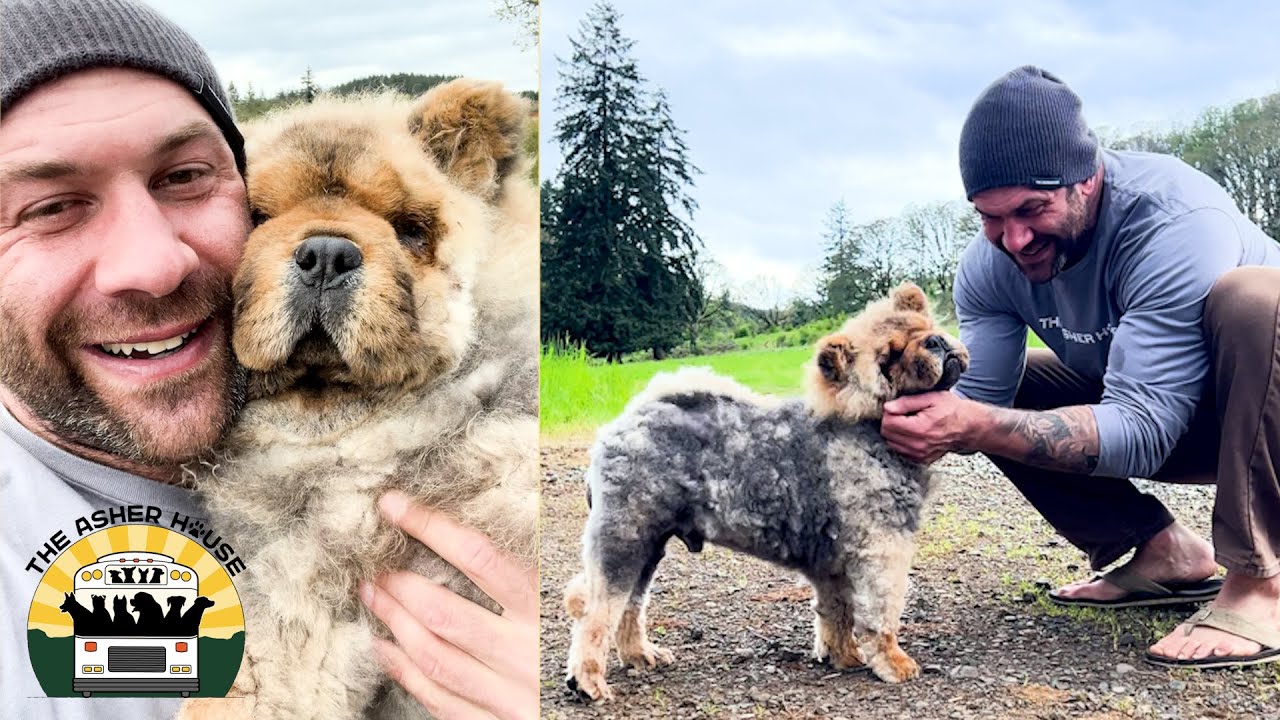 I was completely stunned meeting Little Bear | The Asher House