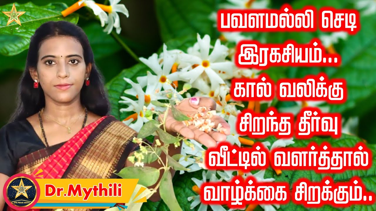பவளமல்லி செடி இரகசியம் கால் வலிக்கு சிறந்த தீர்வு வீட்டில் வளர்த்தால் வாழ்க்கை சிறக்கும் Dr Mythili