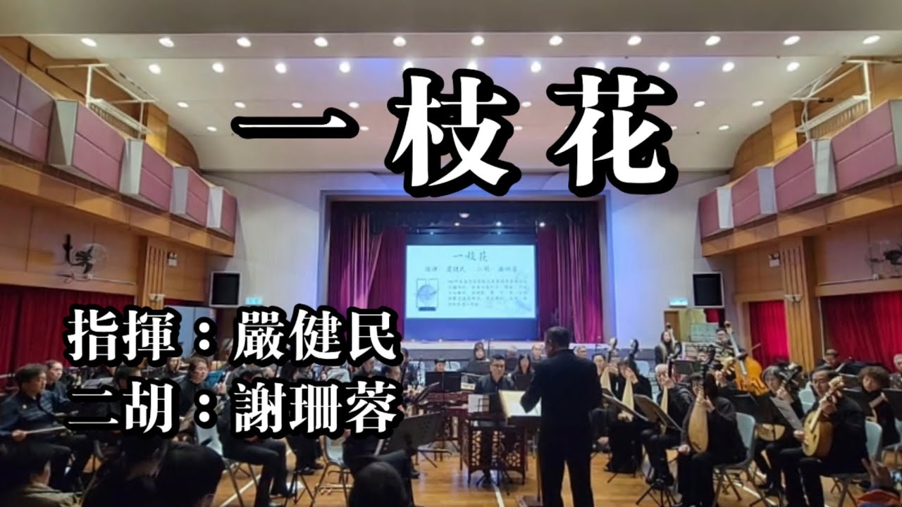 《一枝花》20260201國聲民族管弦樂團&深圳市飛龍民族管弦樂團友好音樂會