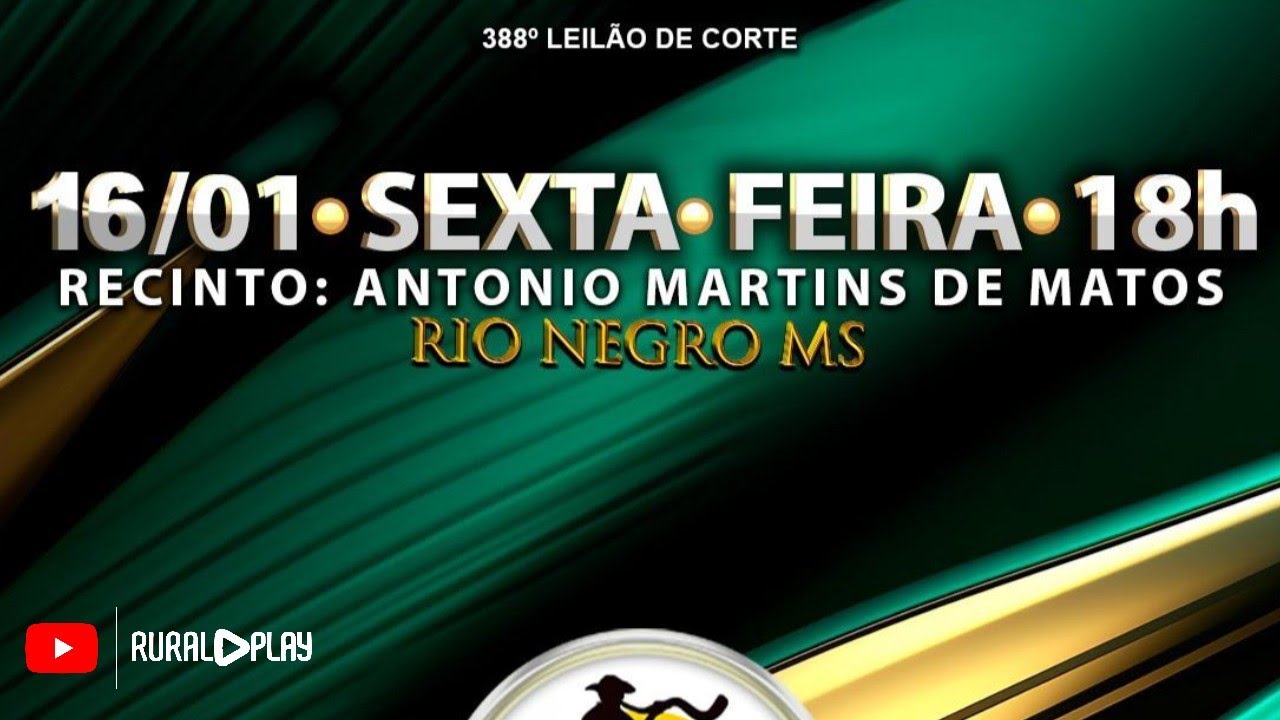 388° LEILÃO DE CORTE PANTANAL LEILÕES - RIO NEGRO/MS - RURAL PLAY