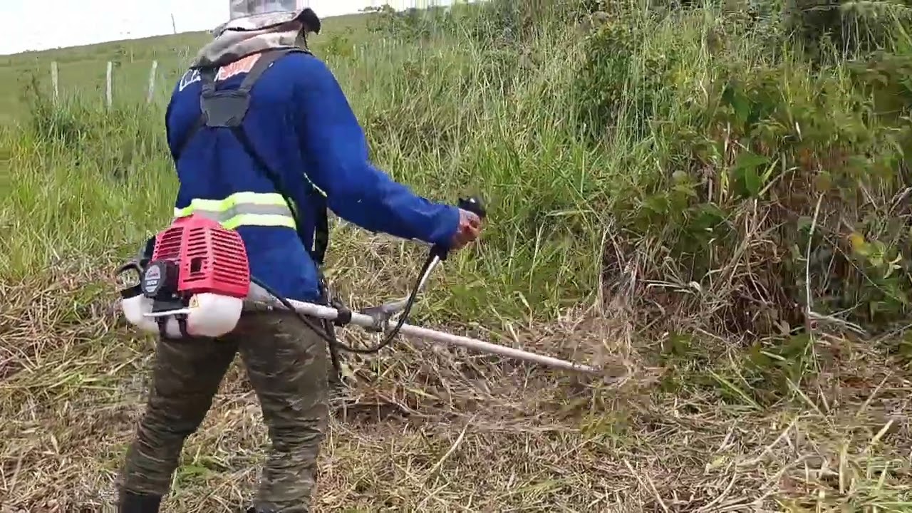Roçando braquiária velho no pasto, como não forçar a roçadeira dica top