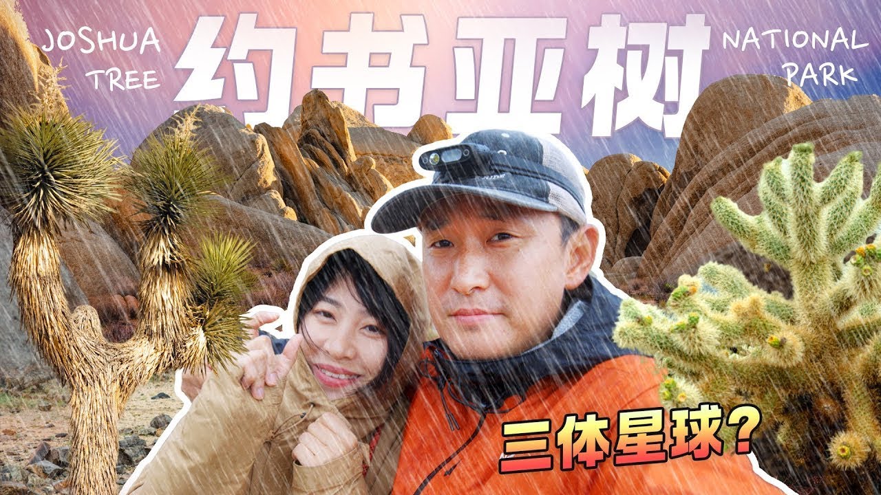 这里是美国最荒凉的国家公园？遭遇暴雨大风，好像进入三体星球！约书亚树国家公园2日旅游 | Joshua Tree | 美國 旅行【2024美国房车旅行-加州篇】