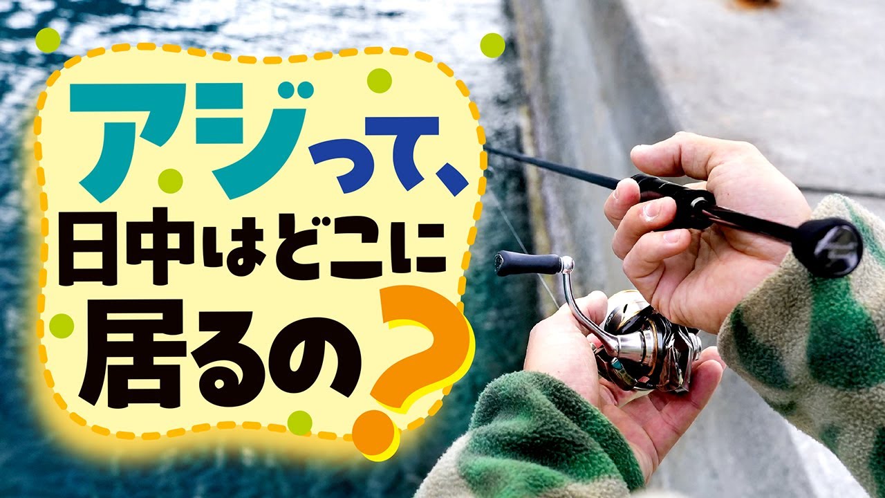 昼間にアジはどこに居るの？デイアジングの考え方