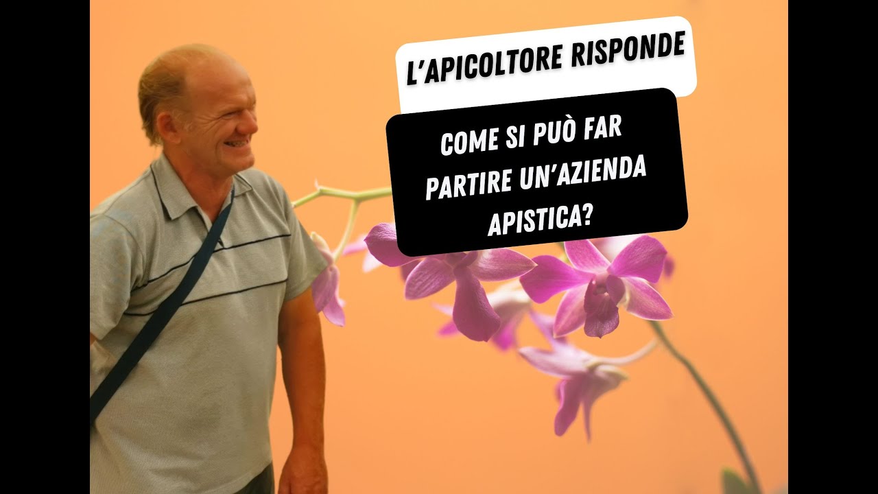 Come si può far partire un'azienda apistica?
