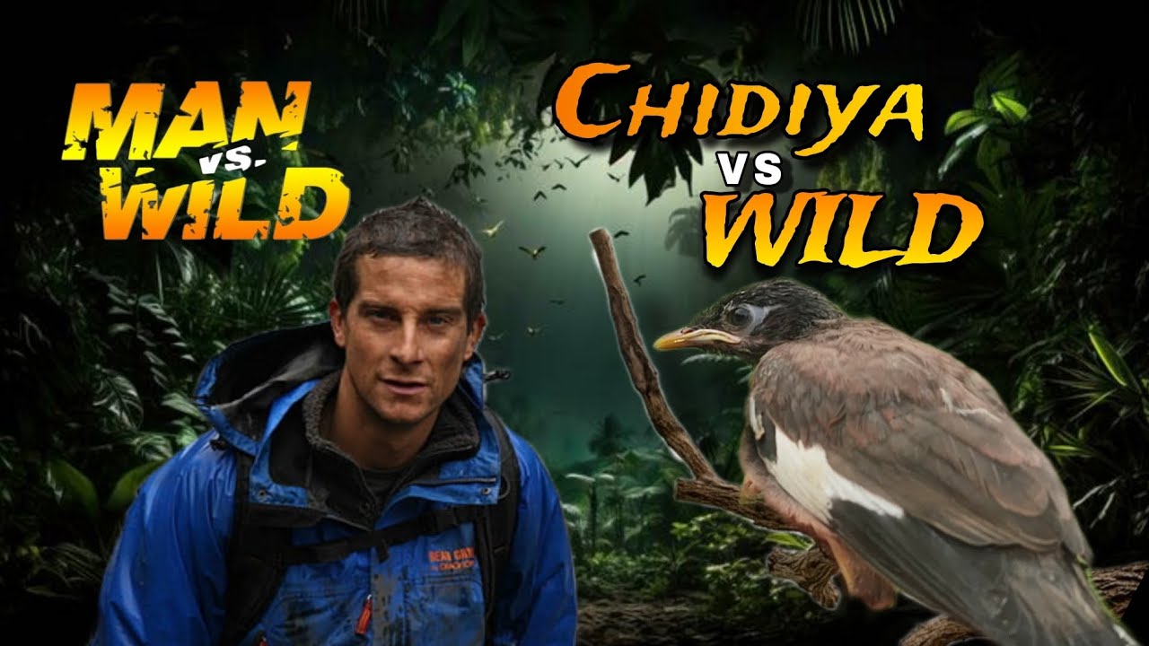 CHIDIYA VS WILD🐥 #manvswild #farmanfitness #funny #freepalastine #youtube #trending #viralvideo