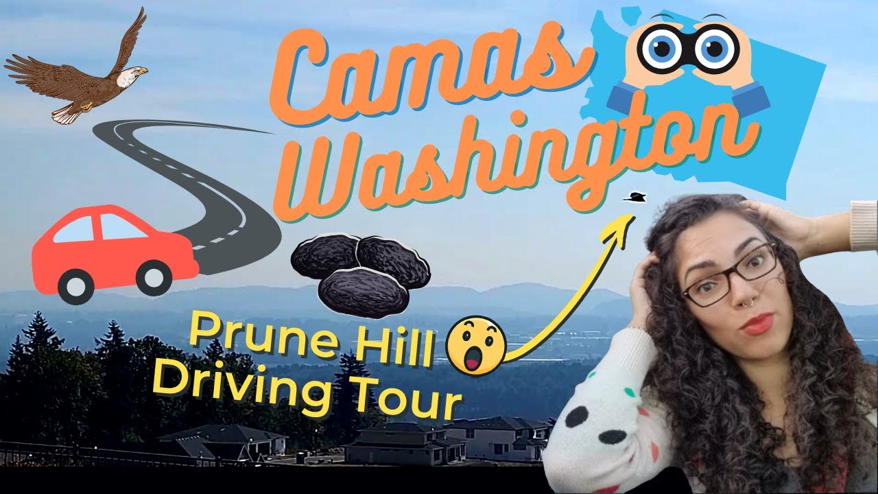 Why All The Buzz?.. Moving to Camas, WA | Prune Hill Driving Tour | Vancouver Area Washington