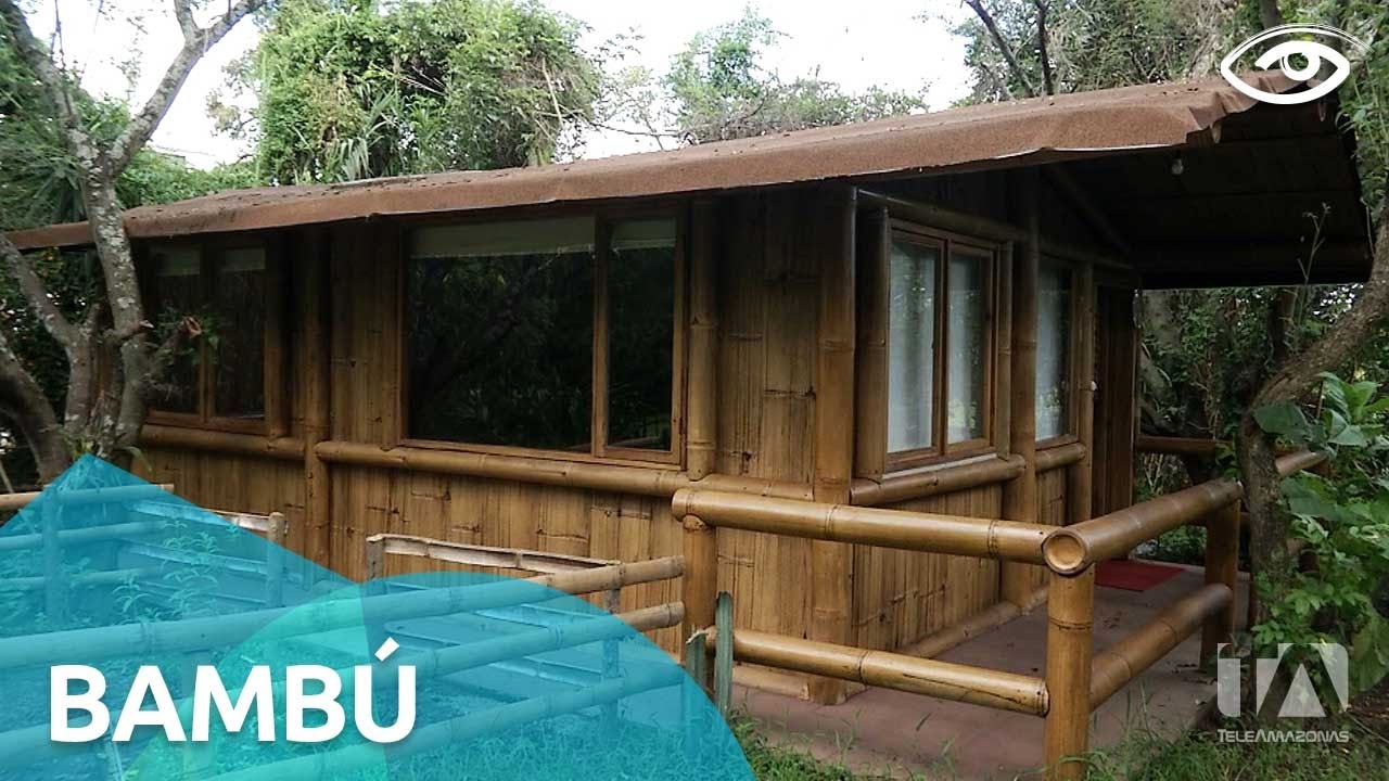 Bambú - Día a Día - Teleamazonas