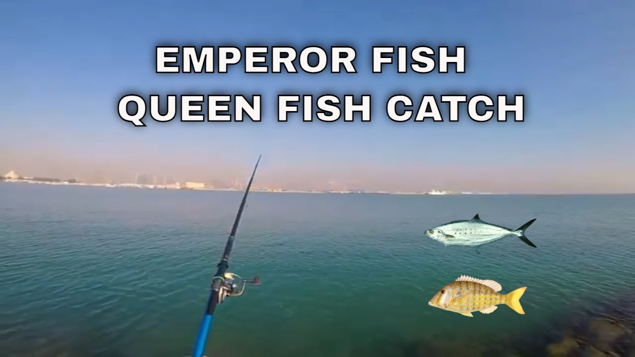 DOHA CORNICHE FISHING BAIT AND WAIT SETUP