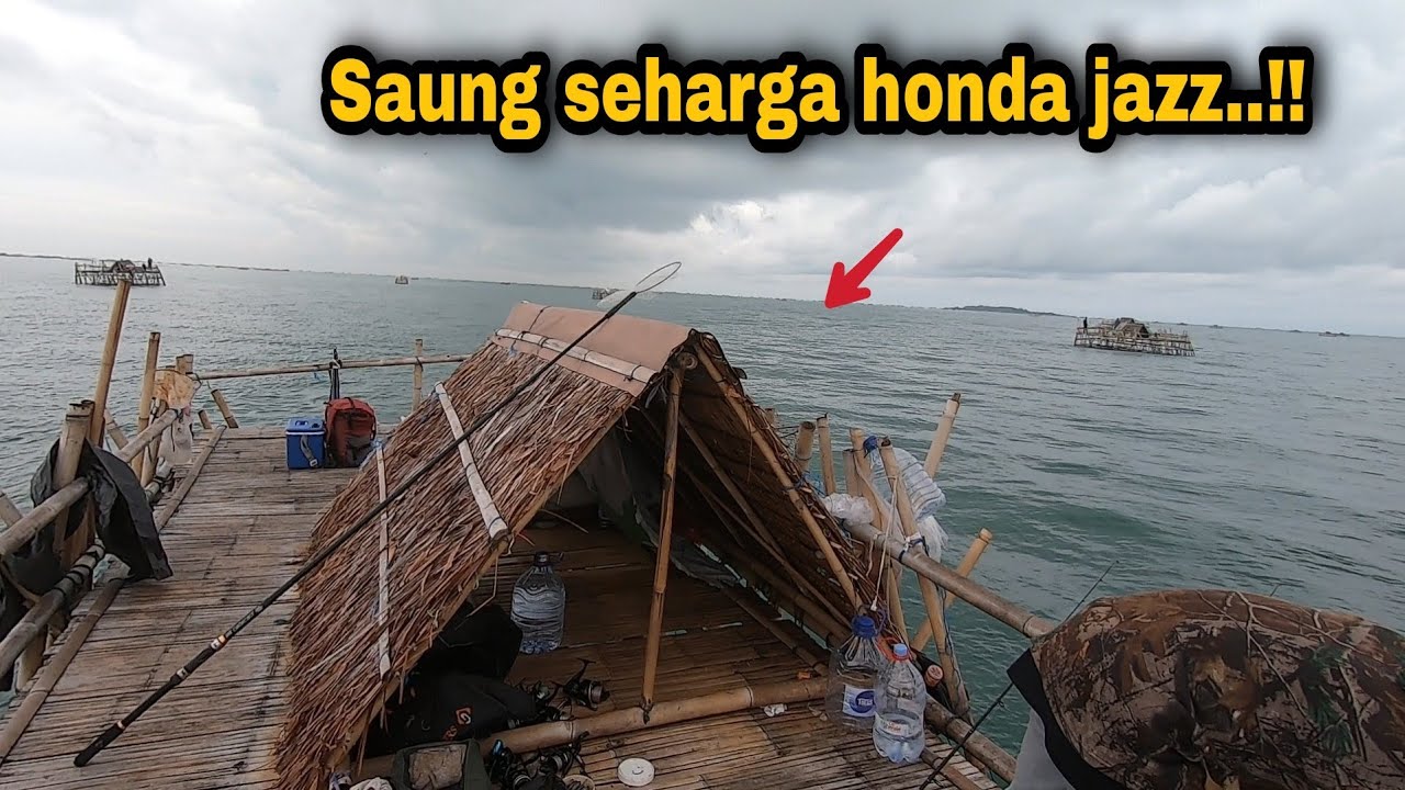 Kejutan diawal tahun 2026..!! Ikan disini lagi gacoor ketua || bagan tanjung kait