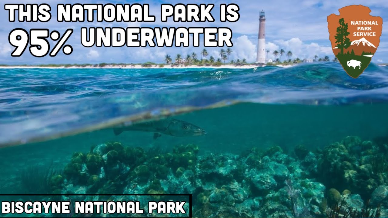 ULTIMATE GUIDE to Biscayne - This National Park is 95% UNDERWATER | Florida, USA (2023)