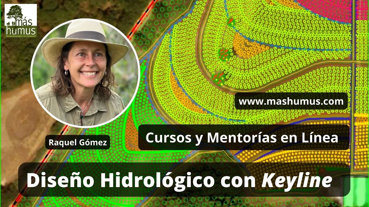 Keyline ON LINE. Cursos y Mentor&iacute;as
