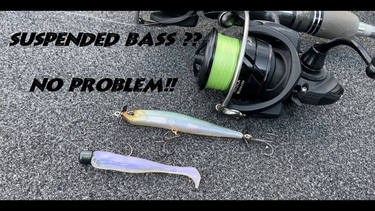 Fishing for suspended bass techniques - Lake Lanier