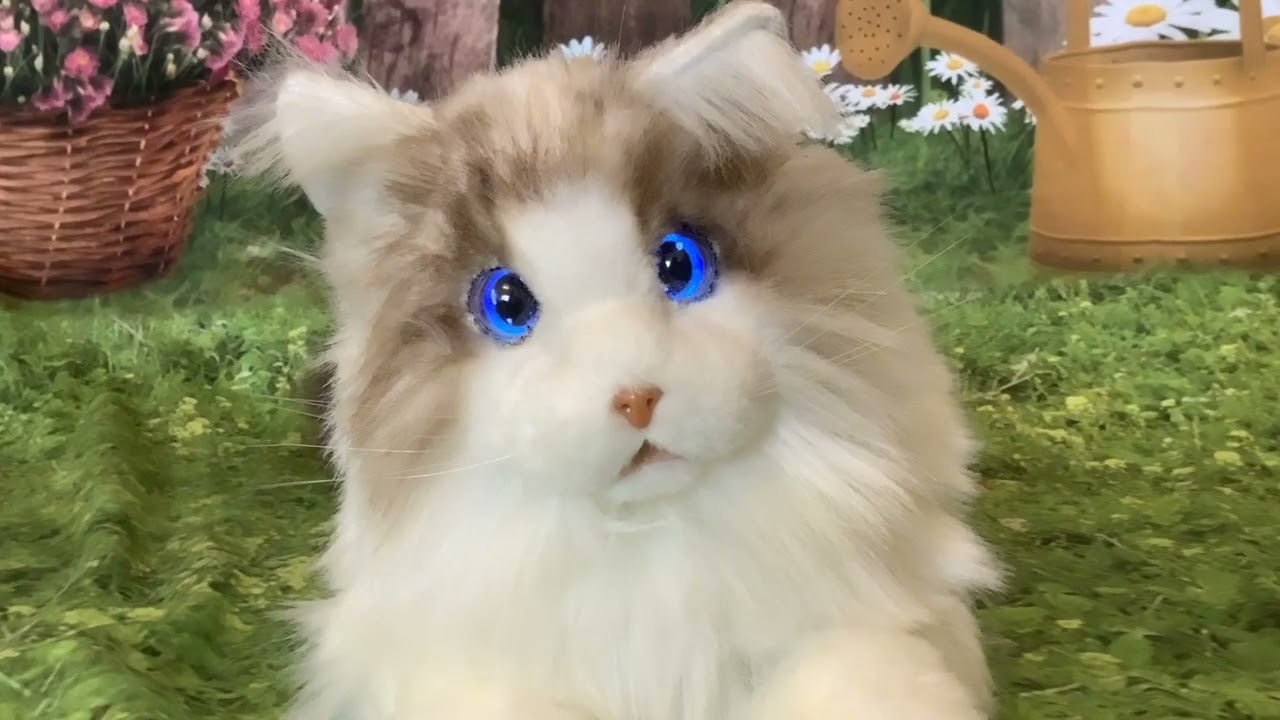 Elephant Robotics New Robotic Pet Cat Metacat Version 2.0 with voice recognition Unboxing & Review