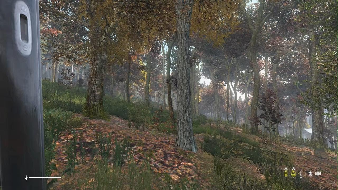 Erster Heli Crash // DayZ Anfänger (Teil 6)