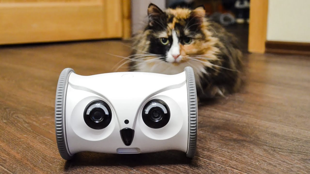 Top 10 Best Home Security Robots Available Currently In The Market 😍