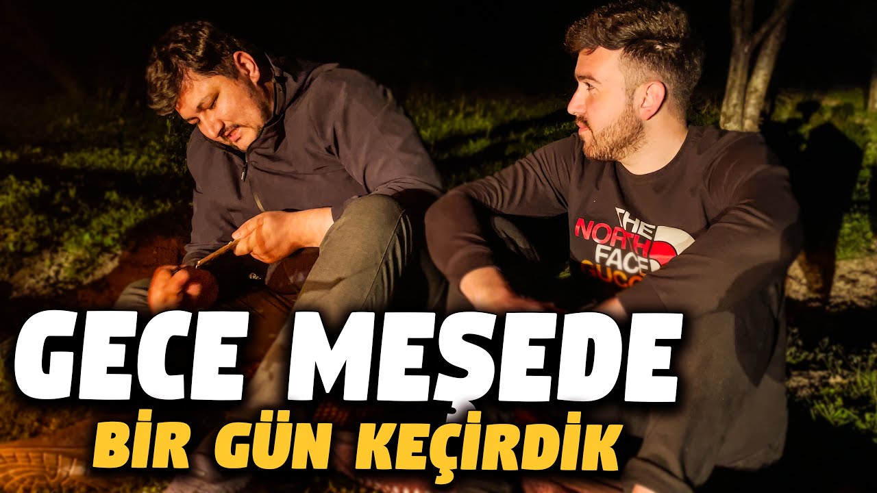 GECE MEŞEDE BİR GÜN KEÇİRDİK