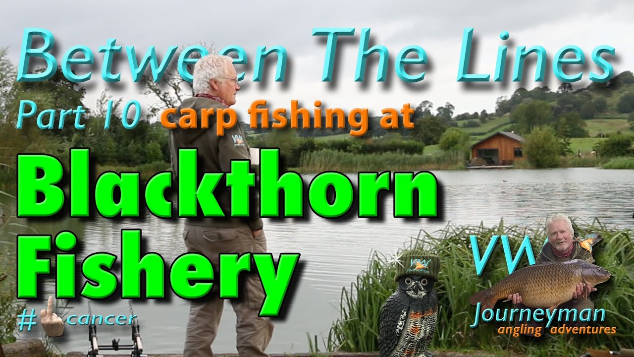 Carp Fishing At Blackthorn Fishery - Between The Lines - Part 10 #carpfishing #fishingtips