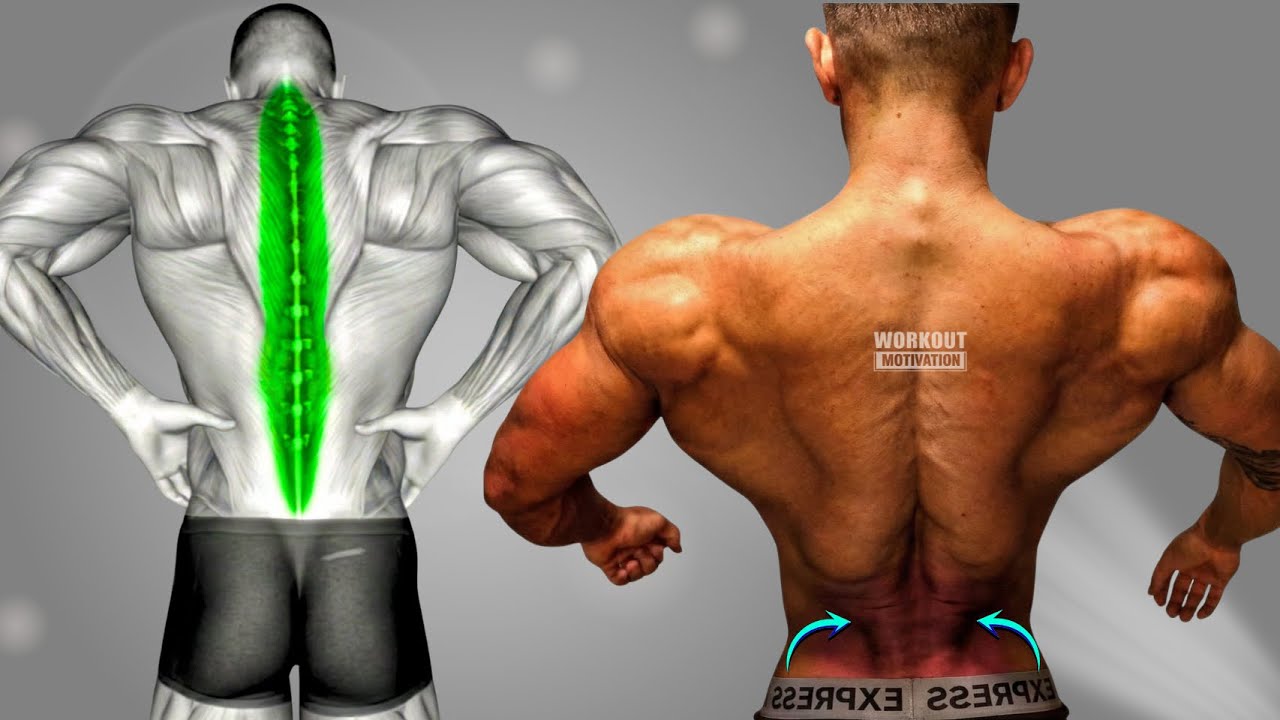 7 Best Exercises to Erector Spinae Strength