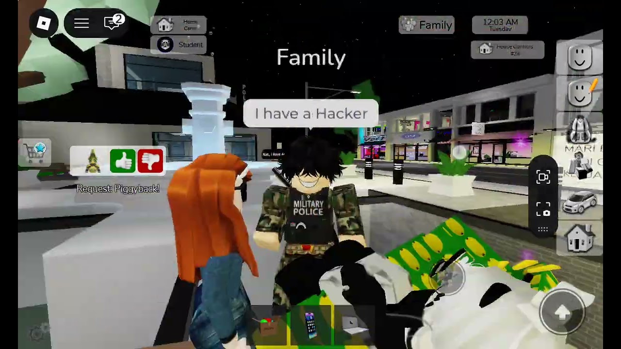 Today we are playing with the hacker in Brook heaven rp