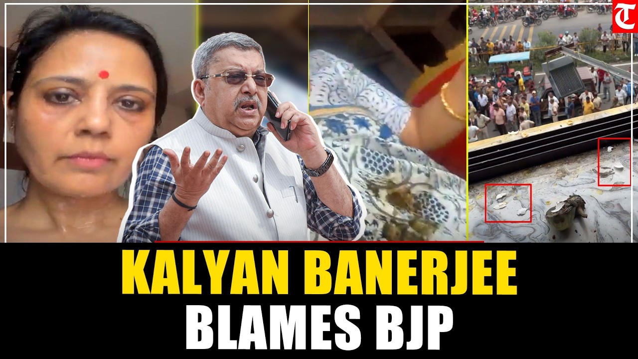 Mahua Moitra Egg Attack: TMC MP Kalyan Banerjee Blames BJP, Slams Law and Order