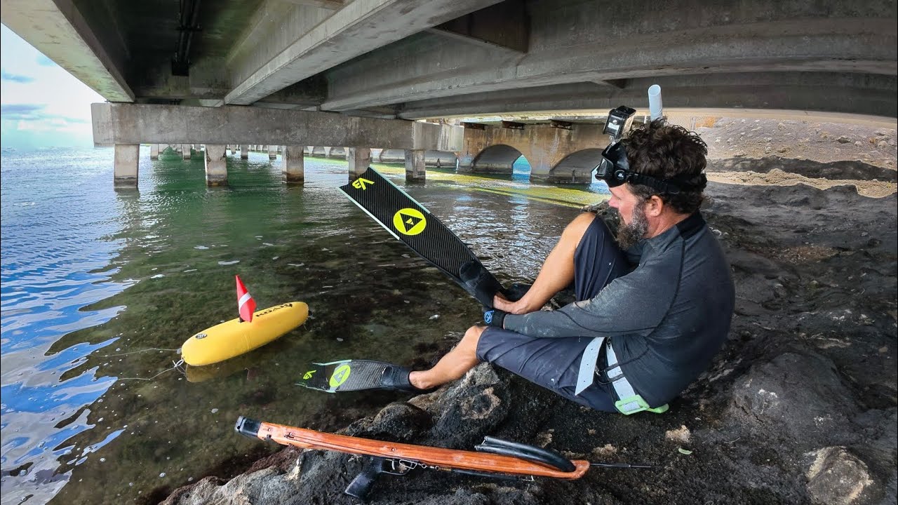 Murky Water Shore Dive | Hungry Shark | Spear & Cook