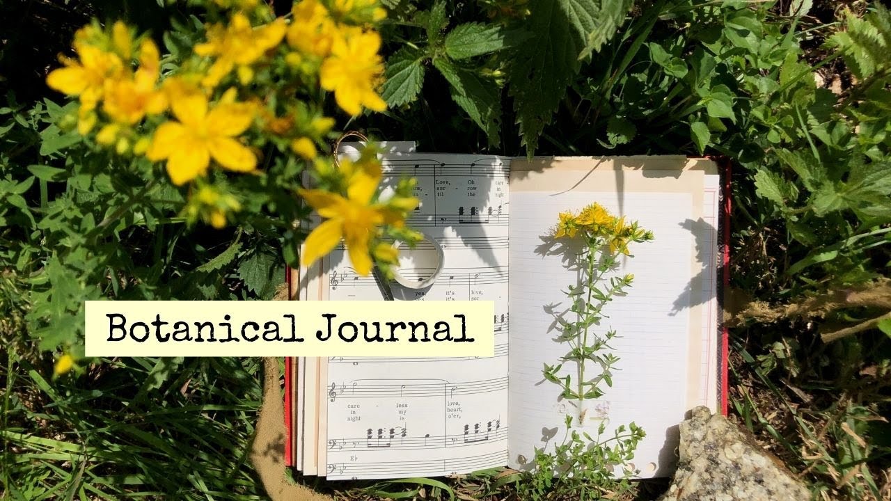 Sketch With Me & Botanical Journal Flip Through 🗝️📕🌼