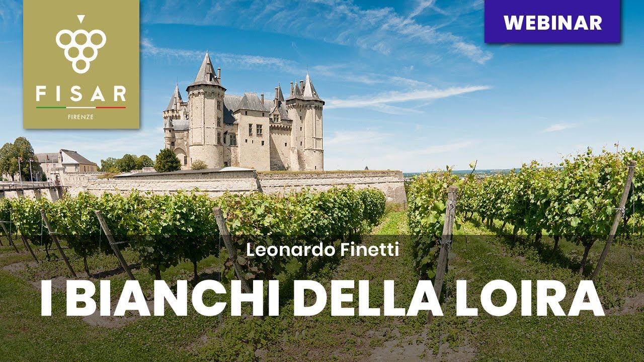Bianchi Loira