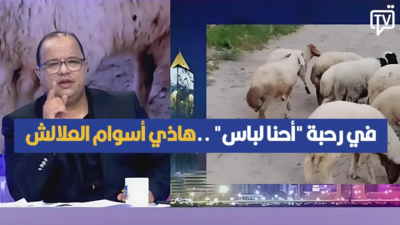 في رحبة 