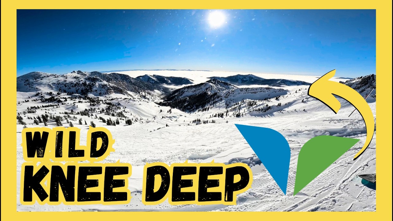 EPIC BLUEBIRD POWDER DAY at SNOWBIRD 2/21/25 (+Saving a ski)