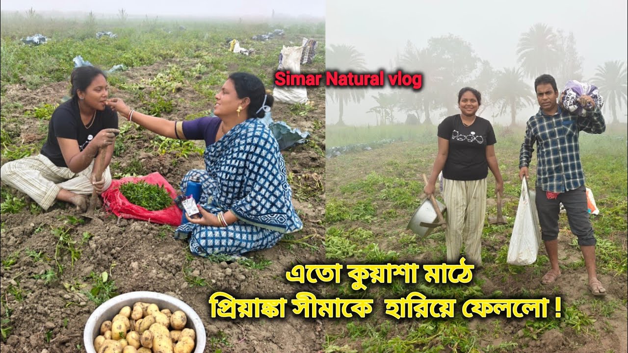 সকালে কুয়াশার মধ্যে মাঠে এসে বিরাট আনন্দ - এখানে । আজ কতটা আলু তোলা হলো  ?