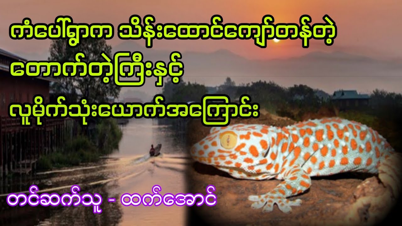 ကံပေါ်ရွာကသိန်းထောင်ကျော်တန်တဲ့တောက်တဲ့ကြီးအကြောင်း ပရလောက အသံဇာတ်လမ်း #htetaung #ထက်အောင်