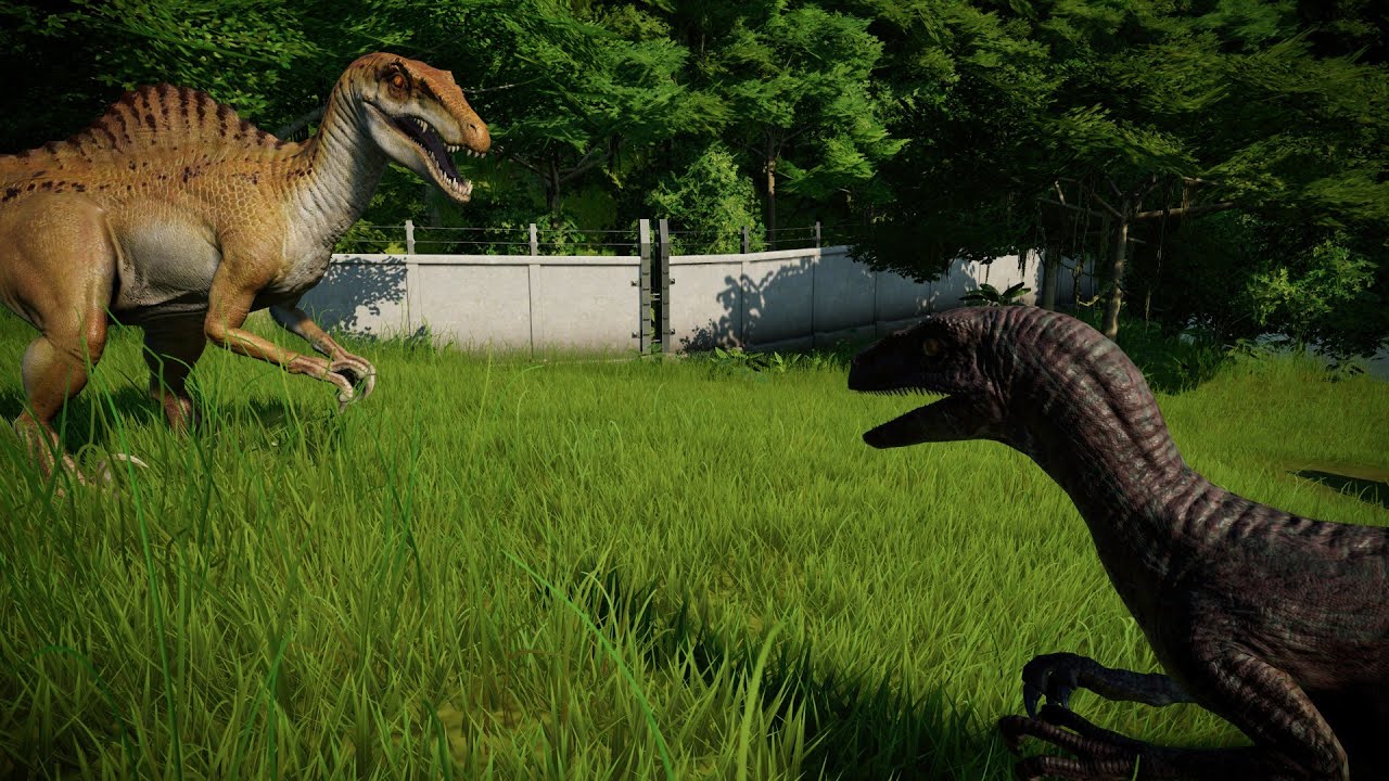 Spinoraptor Vs Velociraptor Breakout & Fight - Jurassic World Evolution Dinosaurs Fighting