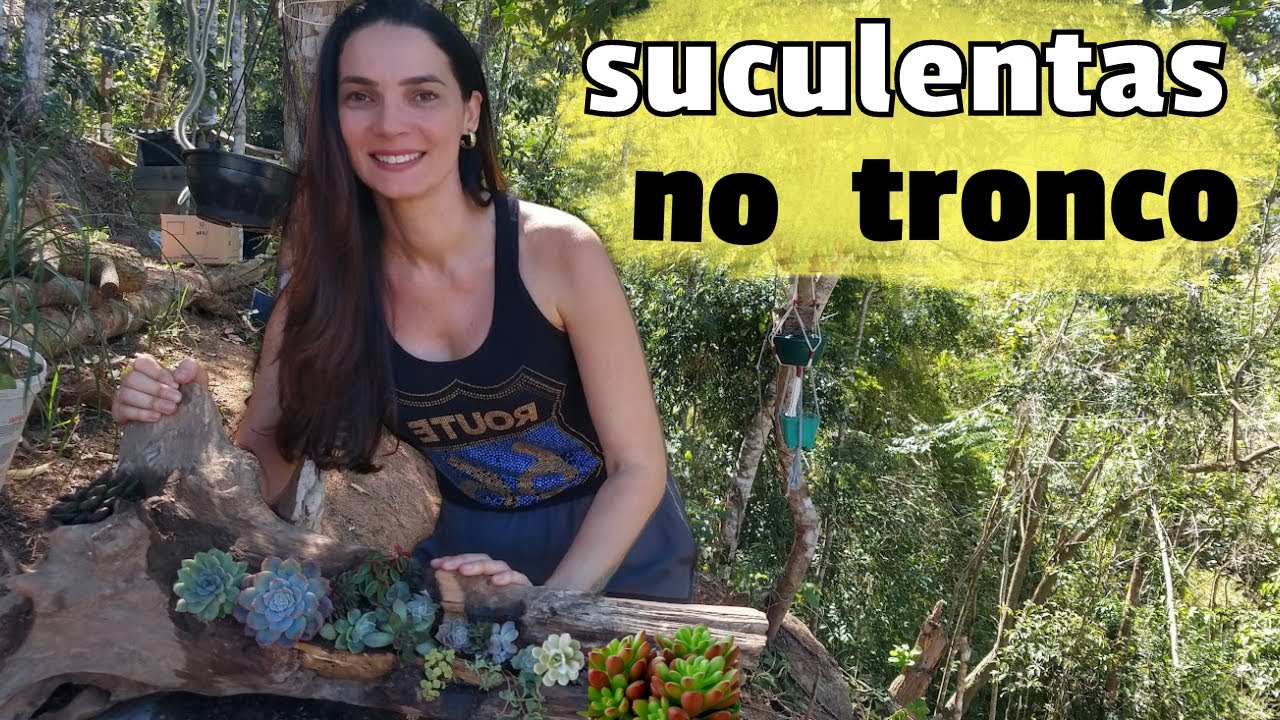 Como fazer um arranjo lindo sem gastar muito?