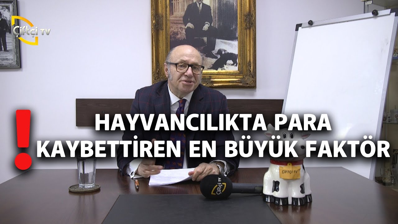 Hayvancılıkta Para Kaybettiren En Büyük Etken - Dersimiz Hayvancılık