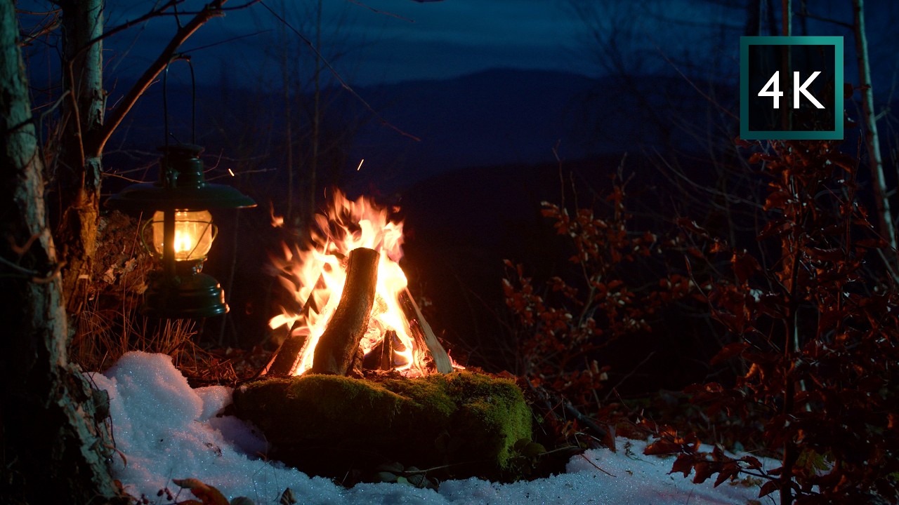 Moonlit Mountain Campfire — 1000m | For Sleep & Quiet Evenings (4K)